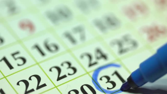 每月31日-31日。女人用蓝色记号笔标记日历日期。商务挂历规划器和组织者