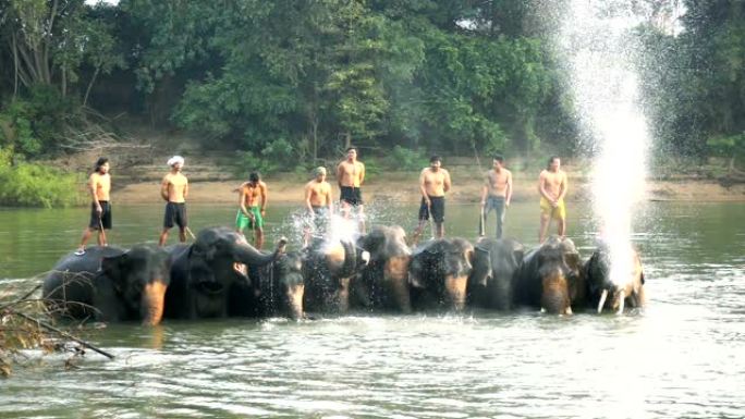 慢动作拍摄的年轻人穿着传统的泰国服装骑在河里美丽的大象上。大象从它的树干里吹水。