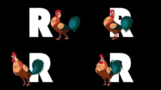 字母R和公鸡在前景