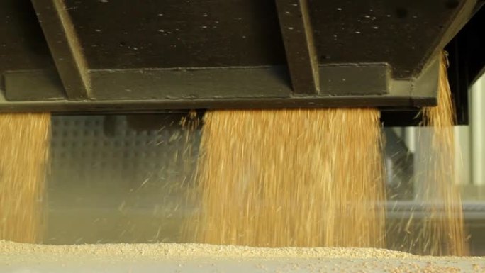从铁路上的货车在电梯上接收谷物，谷物在美丽的流动中运行，特写镜头