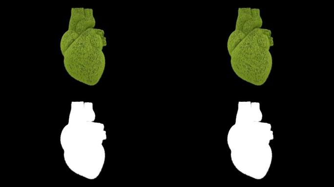 新鲜绿草的心脏跳动。3D动画