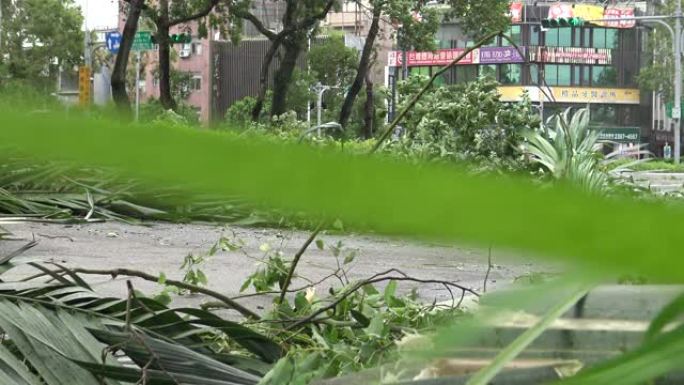 热带风暴袭击台湾后，道路受损，台风Soudelor 4K