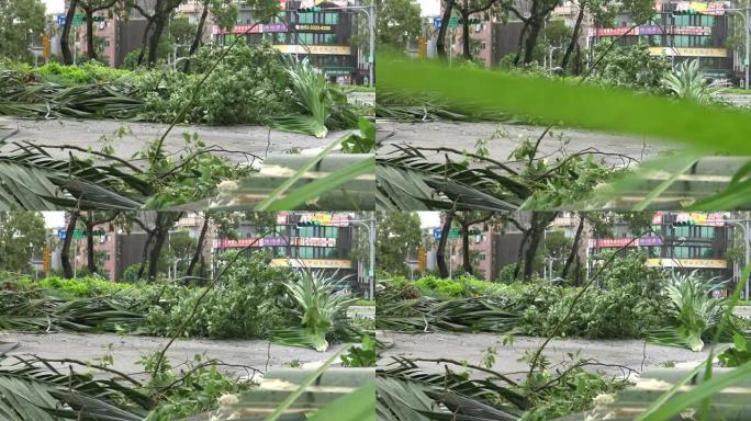 热带风暴袭击台湾后，道路受损，台风Soudelor 4K