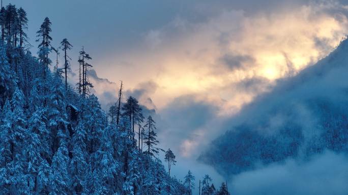 雪山日出冰封森林