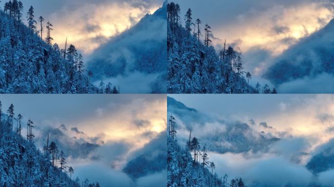 雪山日出冰封森林