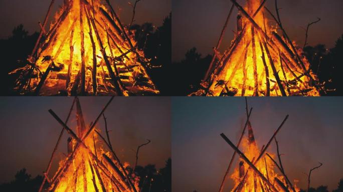 原木的大篝火晚上在森林里燃烧。180 fps中的慢动作