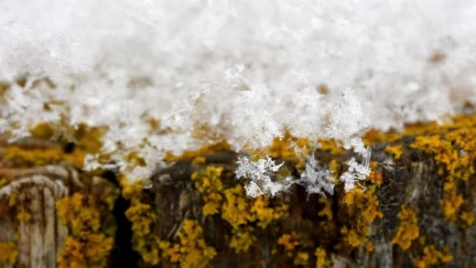 冰岛微距镜头下的积雪融化。在水文学中，融雪是由融雪产生的地表径流。在世界许多地方，融雪产生的水是每年