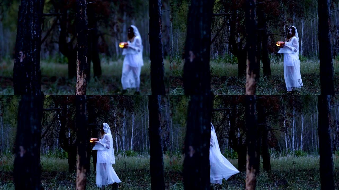 万圣节。穿着新娘礼服的女人走过烧毁的松树林。4K