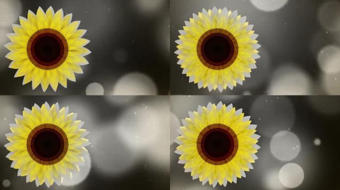 附庸风雅的太阳花是花在不同视觉表现中的美丽想象图像。以彩色和黑白方式描绘得很漂亮。