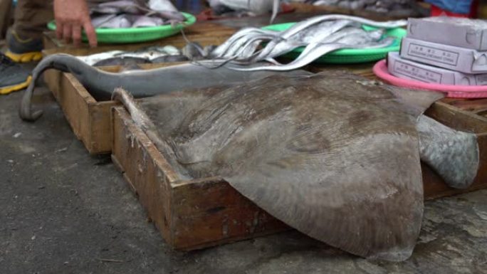 在Jagalchi鱼市场出售4k鲨鱼和蝠ta鱼。釜山海鲜市场