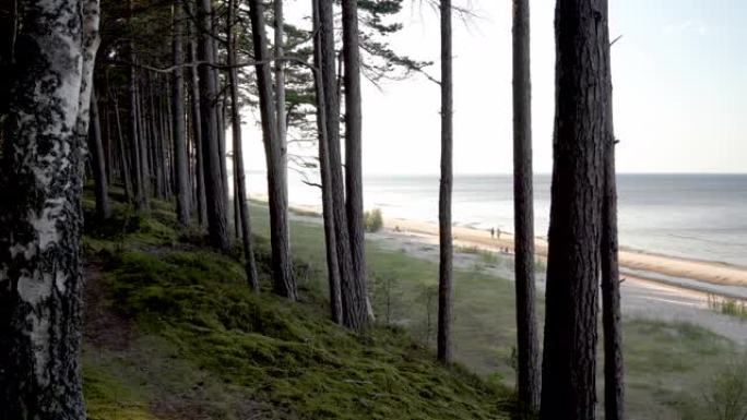 夏天沿着波罗的海的沙丘散步