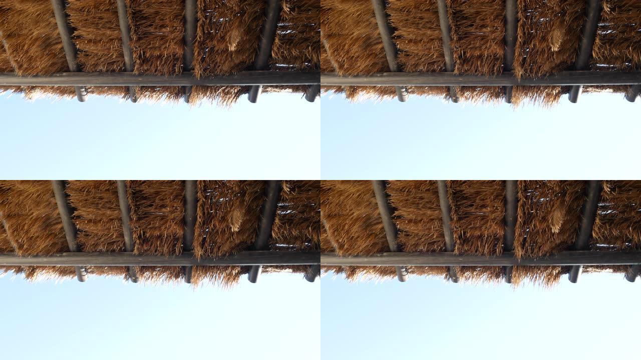 热带椰树叶亭屋顶在风中飘扬，4k分辨率。
