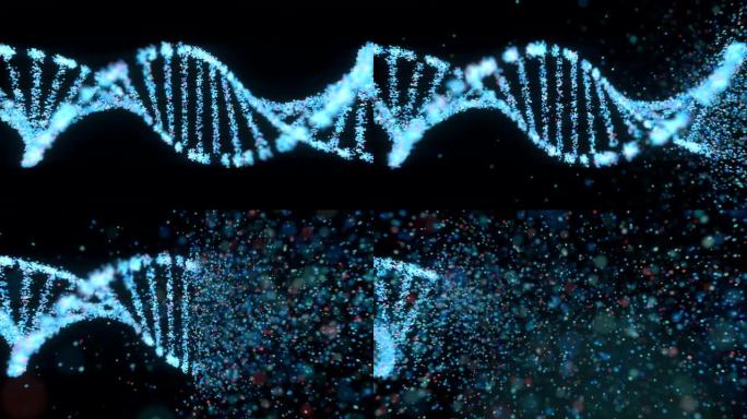 氧化DNA损伤遗传性疾病分子结构