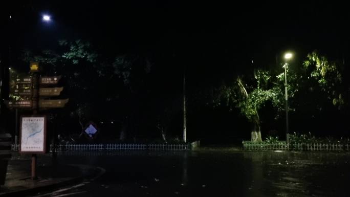 夜雨闪电夜间大雨小巷雨景雨季闪电雨夜雷声