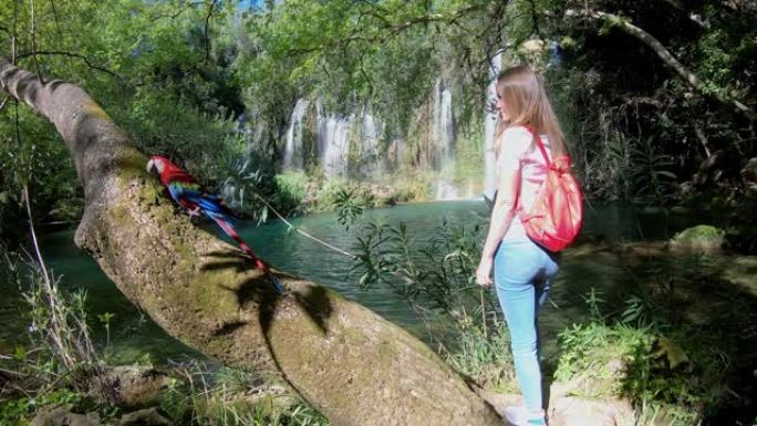 慢动作。穿着野生动物园套装的快乐年轻女子，背景是丛林瀑布里的鹦鹉