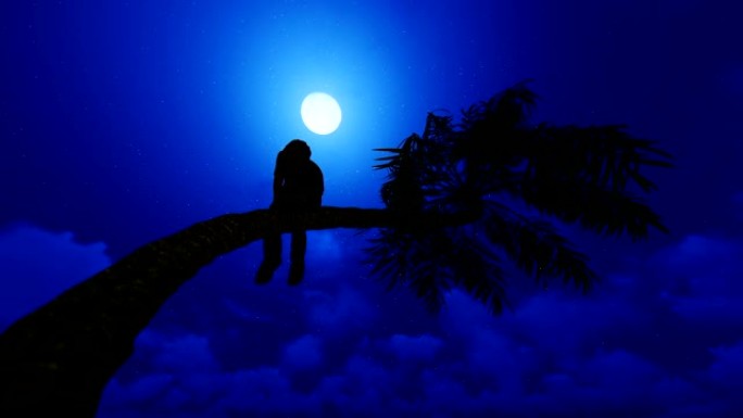 男孩坐在棕榈树上对抗满月星空，高清