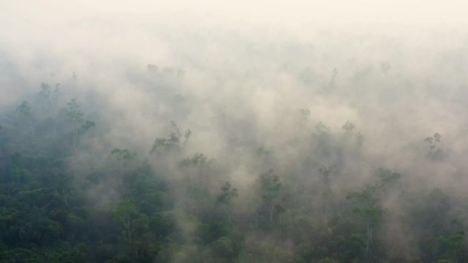 婆罗洲加里曼丹的日出，浓烟笼罩着雨林