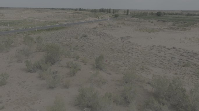 准格尔盆地荒原深处的农地素材（5K）