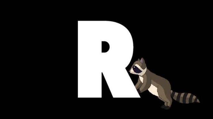 背景上的字母R和浣熊
