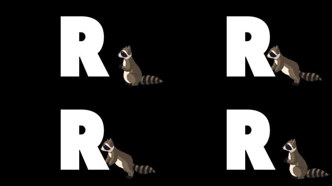 背景上的字母R和浣熊