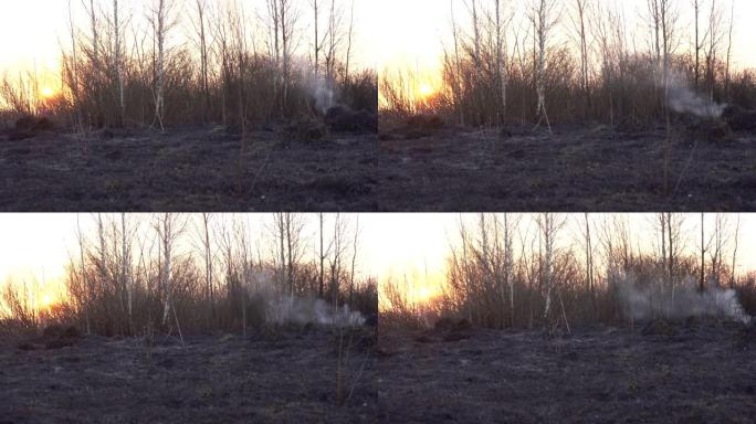 在日落背景上灭火后的后果，田野上的黑草和烟雾，风景