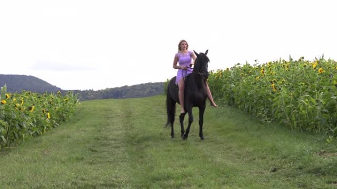 美丽的金发女郎骑着一匹黑马骑在花田上