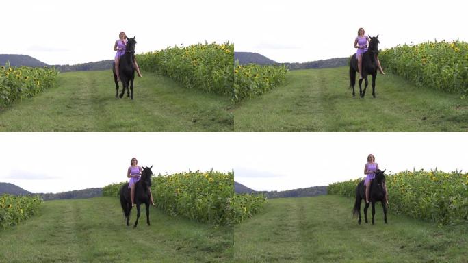 美丽的金发女郎骑着一匹黑马骑在花田上