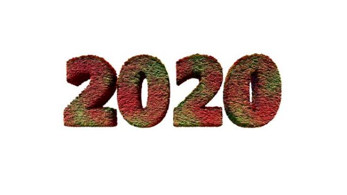 2020新年文字由风吹的叶子制成，反对白色