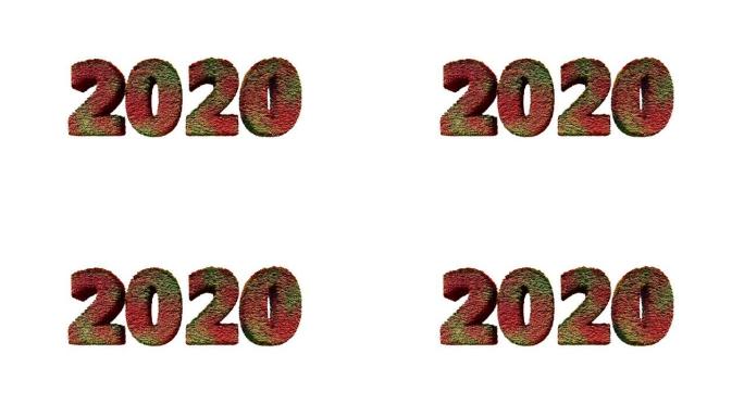 2020新年文字由风吹的叶子制成，反对白色