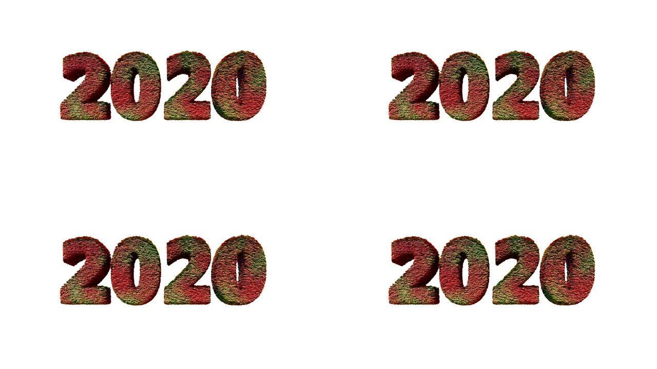 2020新年文字由风吹的叶子制成，反对白色
