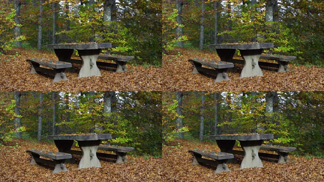 秋天森林中的空桌子和长凳