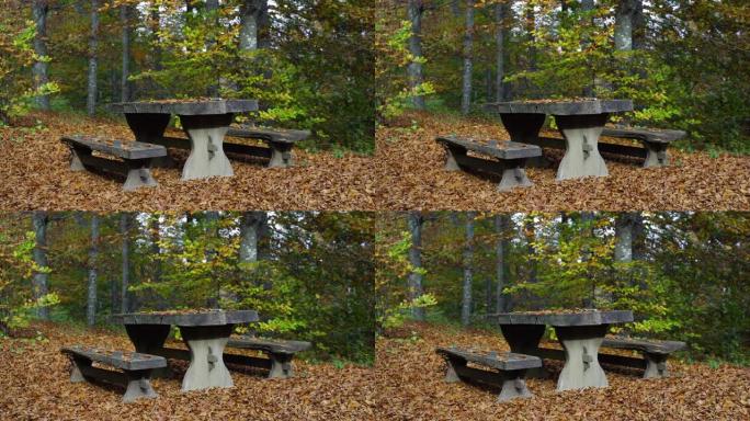 秋天森林中的空桌子和长凳