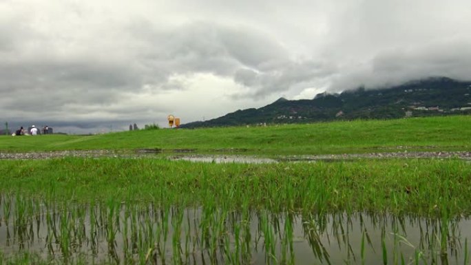 淡水河边公园的4k景观，有草和水坑水