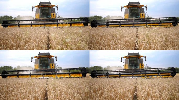 农村环境下收割小麦作物的前视图。无法辨认的农民在田间或农场的联合收割机上工作。背景风景优美。收获的概