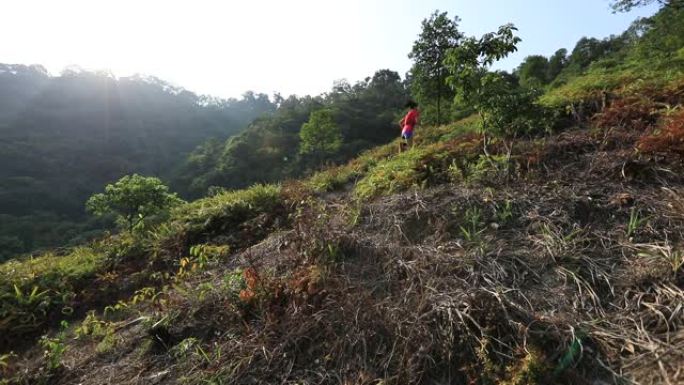 女子超级马拉松亚军在热带森林的山坡上奔跑
