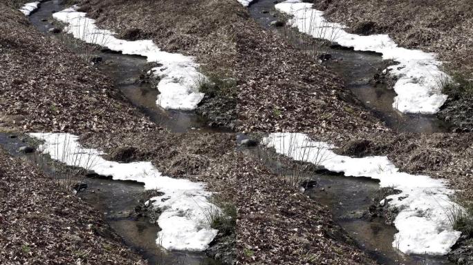 森林中的河上融化的冰，河岸上的白雪