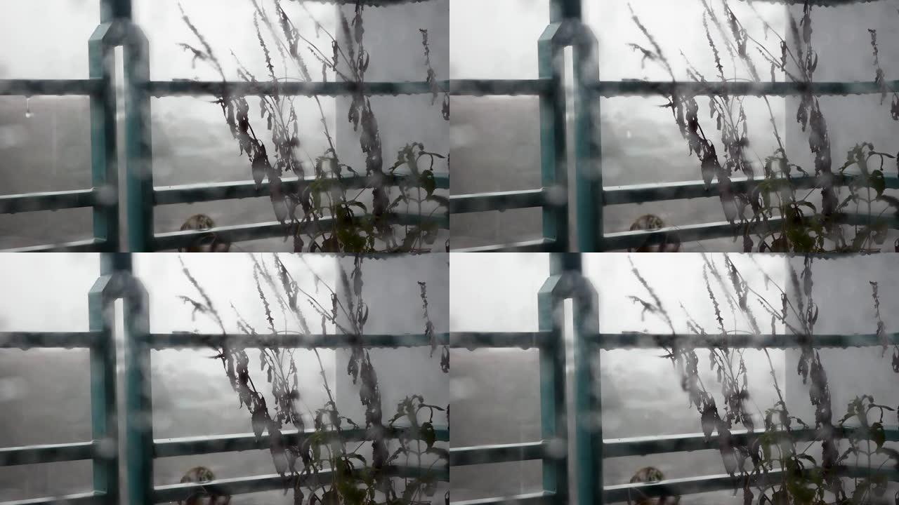 大雨时，水滴从阳台上的栏杆上滴落。穿过泥泞的玻璃。忧郁的概念