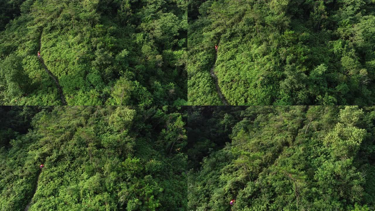 女子超级马拉松运动员在热带雨林的山坡上奔跑的鸟瞰图，4k