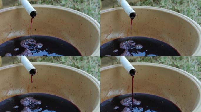 葡萄汁从pvc管中滴入塑料碗中。葡萄场的传统生产。