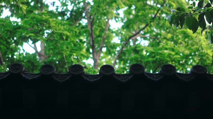 【正版素材】绿色自然古建筑屋檐