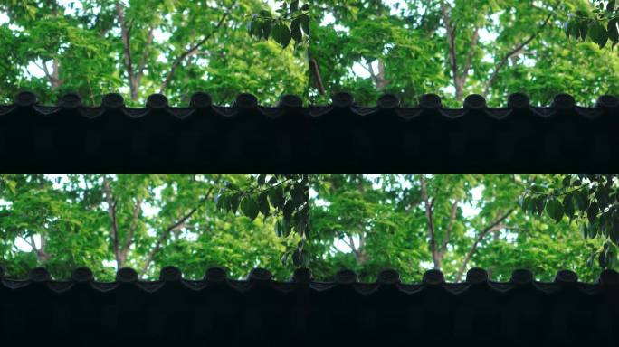 【正版素材】绿色自然古建筑屋檐