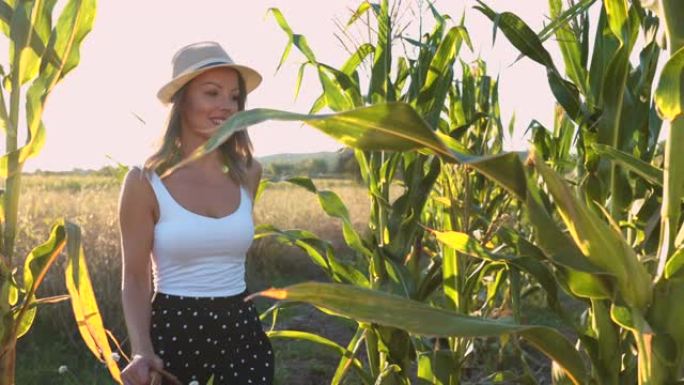 年轻的女农民采摘玉米