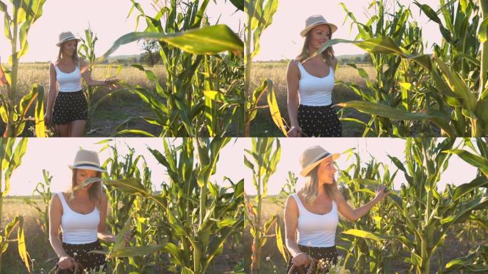 年轻的女农民采摘玉米