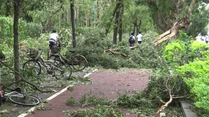 热带风暴袭击台湾后自行车道受损，台风Soudelor 4K
