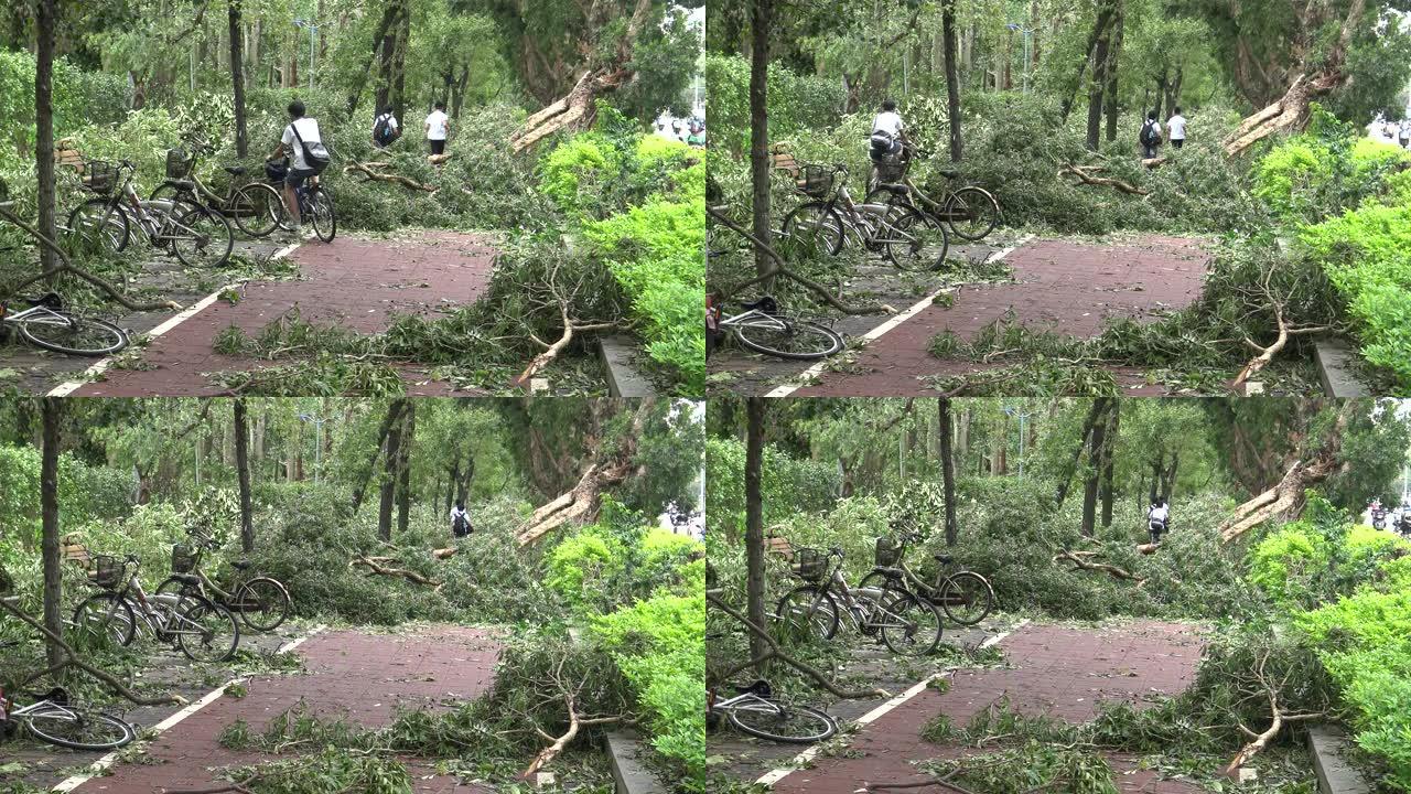 热带风暴袭击台湾后自行车道受损，台风Soudelor 4K