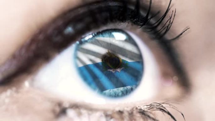 女子蓝眼睛在近距离与圣马力诺旗蝴蝶花与风的运动。视频的概念