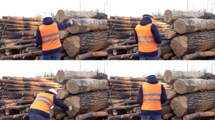 Acaucasian man forester检查森林的质量和砍伐原木的厚度，工业