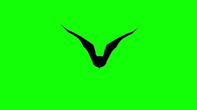 平面风格动画蝙蝠悬停在绿色背景下。无缝循环背景。