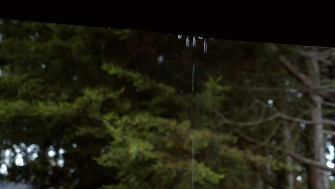 雨