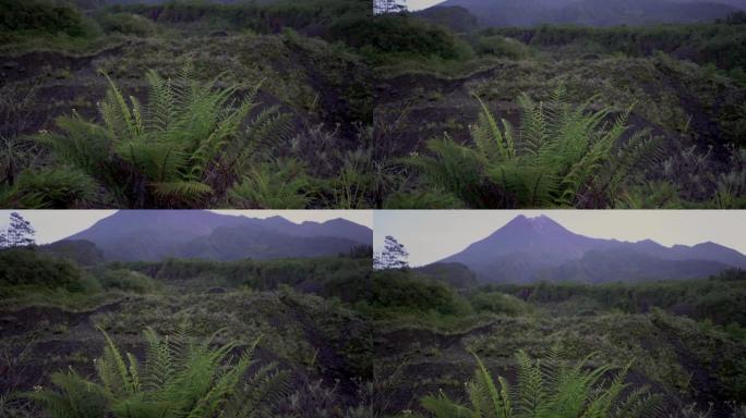 日出时默拉皮火山的风景